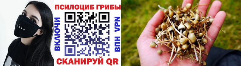 Галлюциногенные грибы Psilocybine cubensis  Велиж 