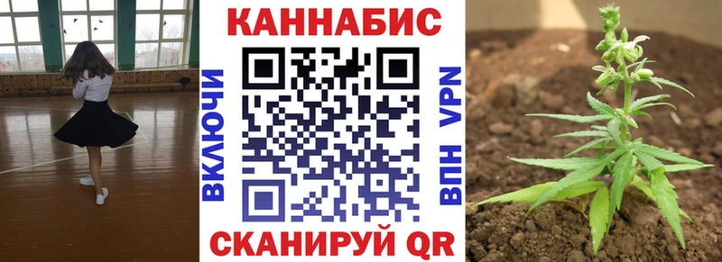 кракен ONION  Велиж  Марихуана ГИДРОПОН 